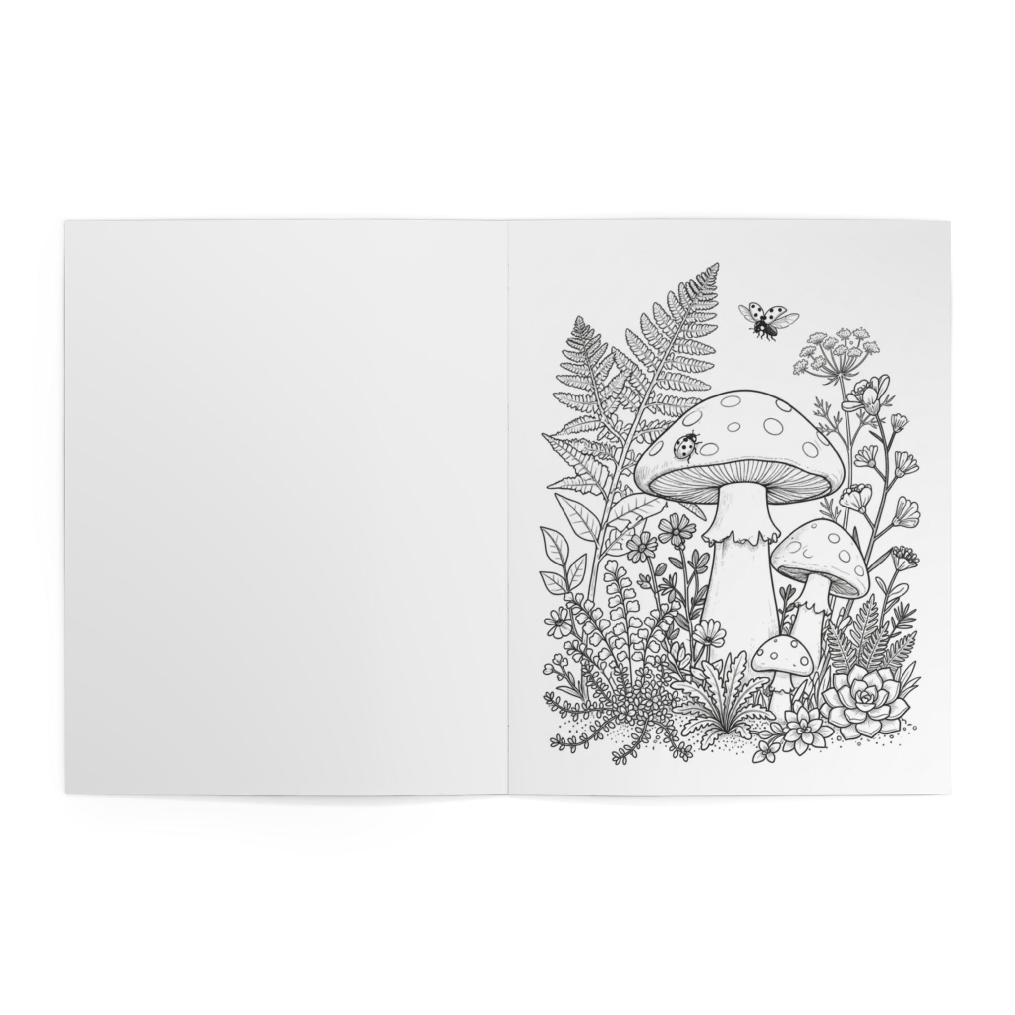 Coloring Book