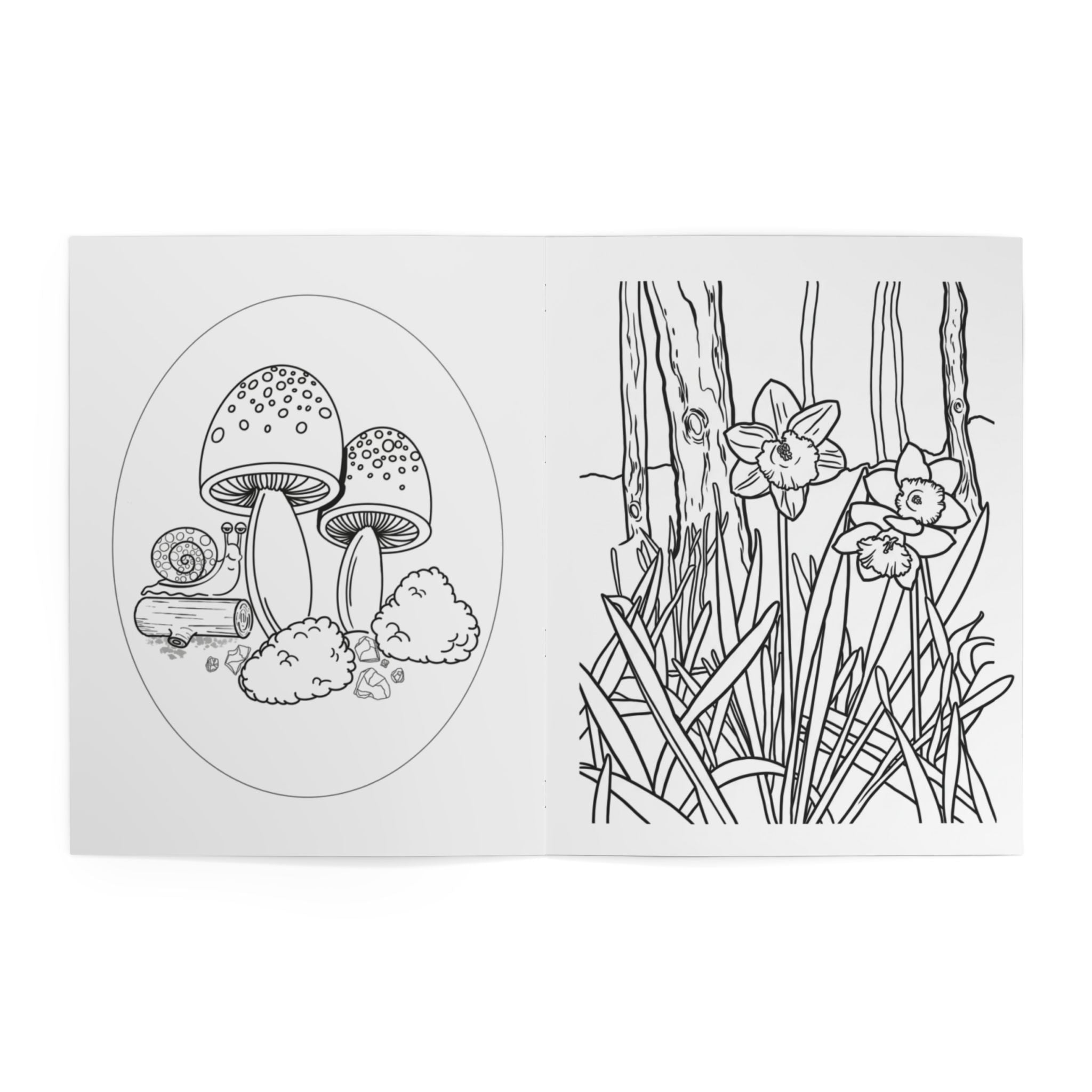 Coloring Book